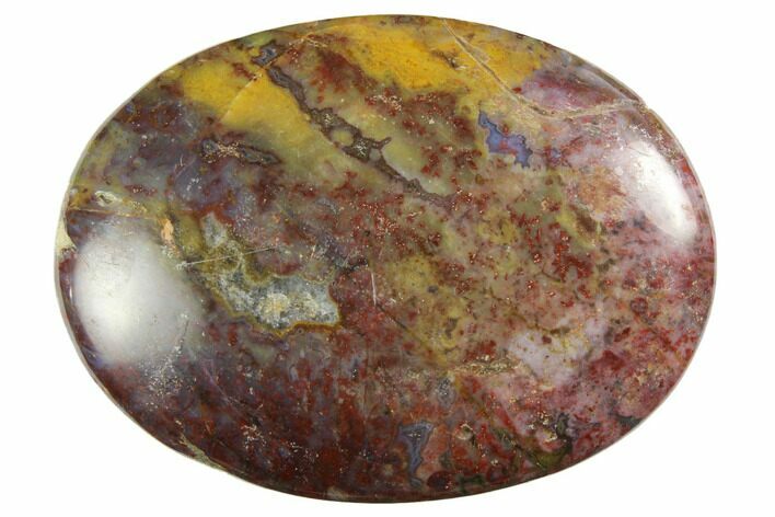 Petrified Palm Root Pocket Stones - Red Color - Photo 1